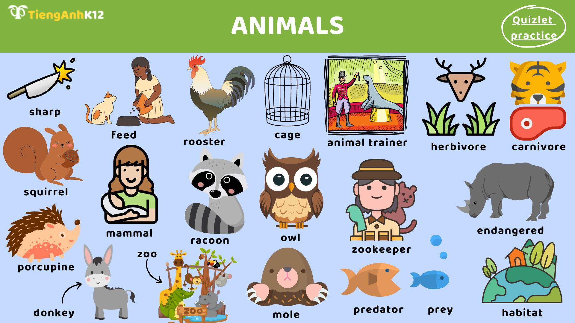 Từ vựng Toefl Primary Step 2 - chủ đề Animals